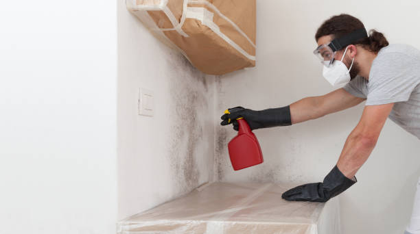 Professional Crawl Space Mold Removal technician working in Aurora, IL