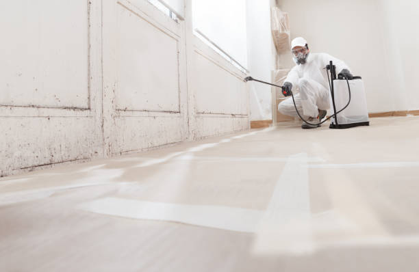 24/7 Emergency Crawl Space Mold Removal experts in Aurora, IL