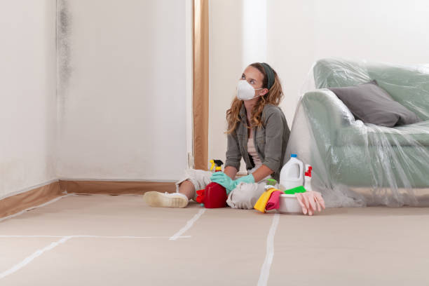 Reliable Crawl Space Mold Removal contractor in Aurora, IL by WQB Mold Removal